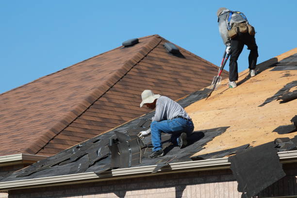 Best Slate Roofing  in Daly City, CA